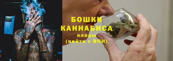 индика Верея